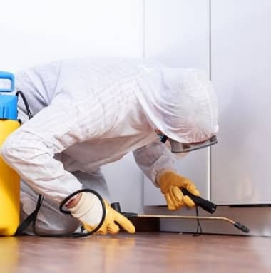 our pest control kenmore services